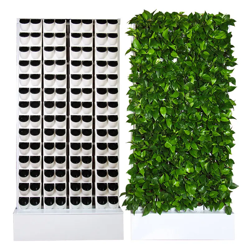 Sistema di coltivazione idroponica parete per piante da 2 metri quadrati utilizzata per la semina di interni