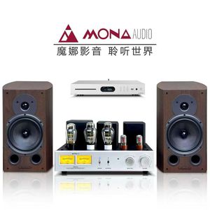 เครื่องขยายเสียงอลูมิเนียมแบบสองแชนแนล รุ่น Professional 300B ระบบเสียงระดับไฮเอนด์สำหรับบ้าน พร้อมคุณภาพเสียงระดับพรีเมียม เสียงคุณภาพสูงระดับมืออาชีพ - Product Image 1