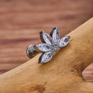 Astm F136 Titan 16G Tai Lá Hình Dạng Với CZ Top Sụn Tragus Bông Tai Tai Môi Xoắn Đinh Lưỡi Móng Tay Xuyên Đồ Trang Sức - Product Image 5