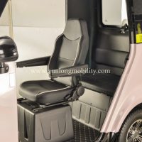 Sepeda Motor Listrik Roda Tiga EEC COC L2e Tanpa SIM Kendaraan Listrik Penumpang Skuter Roda 3 untuk Dewasa Harga Terjangkau