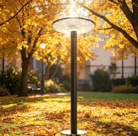 Lampes solaires LED de jardin 20W, contrôlées par PWM, télécommandées, à intensité variable, boîtier en aluminium, indice de protection IP65, blanc chaud, pour jardins