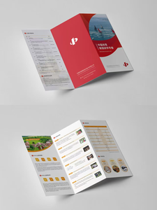 Bán buôn tùy chỉnh A3 A4 A5 A6 in tài liệu quảng cáo Flyer Hướng dẫn sử dụng tập sách 2 3 lần quảng cáo tiếp thị tờ rơi giấy in ấn - Product Image 6