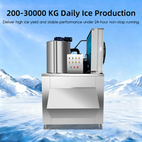 Machine à glace en flocons de 800 kg à commande PLC, petite machine à glace commerciale, pompe à eau, homologuée CE, refroidissement, vente directe usine
