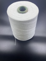 12NM High Quality 100% Polyester Chenille Yarn-Eco-Friendly Anti-Bacteria Raw White Plush Soft High Tenacity Yarn for Sewing