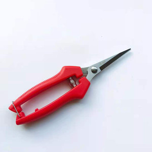 Sécateurs de précision Diamond, lame en acier inoxydable de 30 mm, structure papillon en forme de coude, pour la taille des fruits et légumes - Product Image 4
