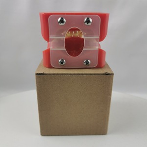 Modèle orthodontique Heidefee M3005, modèle de dents anatomiques en silicone médical rouge pour usage domestique - Product Image 4