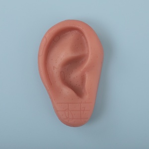 Offre Spéciale Silicone <span class=keywords><strong>Oreille</strong></span> Acupuncture Modèle Réflexologie Professionnelle Acupoint Apprentissage Massage <span class=keywords><strong>Oreille</strong></span> Modèle 8cm - Product Image 4