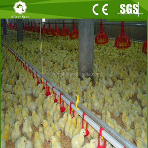 Tự Động Gia Cầm Ăn Thiết Bị Gà Gà Thịt Tầng/Hệ Thống Mặt Đất - Product Image 2