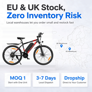 Bicicleta Eléctrica de Montaña de 27.5 Pulgadas, 250 W, CE EN15194, 48 V, 13 Ah, 55-70 km, 21 Velocidades, 55 Nm, Disponible en Stock, Distribuidor, Venta al por Mayor en la UE y el Reino Unido - Product Image 5