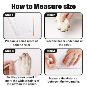 100% कपास पालतू कुत्ते के इनडोर बुना हुआ मोजे, जाल ठोस पत्र पैटर्न और सफेद pvc पैर के संदेश गर्मियों के लिए विरोधी पर्ची - Product Image 4