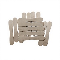 Bâtonnets de crème glacée ronds en bois de bouleau blanc, écologiques, portables, flexibles, faits maison, jetables, sûrs, de haute qualité, bon marché et très demandés
