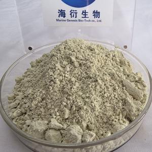 مسحوق بروتين نباتي عضوي بدون محليات صناعية، 60% بروتين بذور اليقطين، قابل للتخصيص - Product Image 1