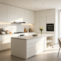 Armoires de cuisine sur mesure HNSJ OEM, style contemporain, rangement fonctionnel, durables, de haute qualité pour les projets résidentiels
