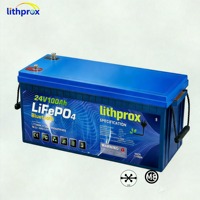 Batterie LiFePO4 de traction pour chariot élévateur 24V 100Ah, protection contre les surcharges, faible autodécharge, pour véhicule à guidage automatique, CE