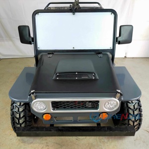 Zhenda Mini Jeep New Buggy, Voitures de Luxe à Essence avec Garantie de 2 Ans pour Adultes, Transport Spécial à Vendre - Product Image 4