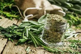 Precio de fábrica de romero seco natural 100% puro, venta al por mayor, hierba de grado alimenticio cultivada en estado silvestre de la India envasada en tambor - Product Image 5