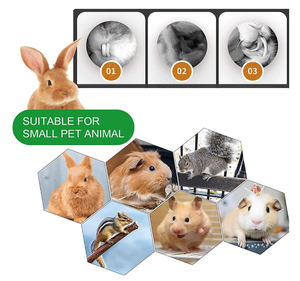 Jouets à mâcher interactifs modernes en bois pour animaux de compagnie, bâtonnets à mâcher en forme de pomme en emballage carton pour lapins, chinchillas, rats, lapins d'Inde et cochons d'Inde - Product Image 5