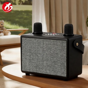 Haut-parleur karaoké sans fil vintage <span class=keywords><strong>portable</strong></span> en plastique pour l'extérieur, alimenté par batterie 5.3 20W, avec 2 micros - Product Image 5
