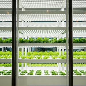 Invernadero agrícola Hidroponía Granja Sistema de <span class=keywords><strong>cultivo</strong></span> Gabinete Inteligente <span class=keywords><strong>Interior</strong></span> Vertical Grow Container - Product Image 1