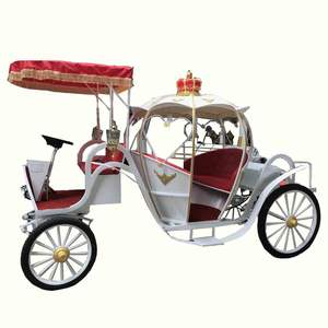 2021 Caleches Guidati Turistici Trainati da Cavalli Cavallo Europeo Carrelli/Cavallo Wagon/Cavallo di Trasporto - Product Image 3