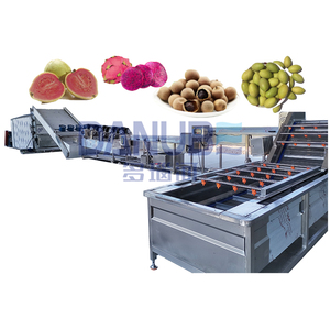 Máquina Deshidratadora Comercial de Frutas y Verduras, para Guayaba, Longan, Oliva y Pitahaya - Product Image 1