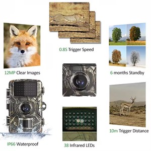 Caméras de surveillance extérieures pour la sécurité, étanches IP66, 1080p, pour la chasse à la faune, la surveillance - Product Image 5