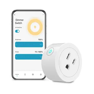 Wifi Slimme Stopcontact Stekker Dimmer Ons Standaard