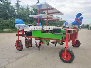 High Precision <b>Vegetable</b> Cabbage Tomato Onion Transplanting Machine Engine Gear for Seedlings High Productivity Agricultural - Product Image 2