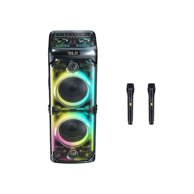 Professional High Power 300W DJ Sound 2x10 Inch Big PA Subwoofer Blue Tooth Party Speakers TWS Audio System with 2pcs Microphone