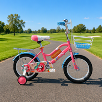 Prix d'usine, vente en gros, vélo pour enfant de 14 pouces rose avec 4 roues d'apprentissage, nouveau design, prix bas, vélos pour enfants de 20 pouces, 16 pouces, 20 pouces