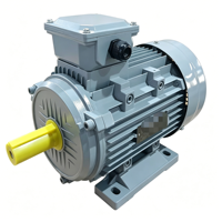 Moteur asynchrone triphasé IE3, efficacité IP55, 50Hz, 1500 tr/min, 1,1 kW, 15 kW, 2,2 kW, 3 kW, 4 kW, 5,5 kW, 7,5 kW, 11 kW, 15 kW, 22 kW, IC411 YE3