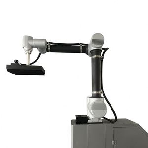 Robot Paletizador de Cartones Totalmente Automático Rayman - Product Image 5