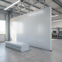 Panneau sandwich léger EPS Core CE ISO à rainures et languettes, panneau d'isolation thermique pour maison préfabriquée, salle blanche, entrepôt frigorifique