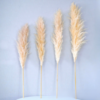 Plumes de roseaux de pampa naturelles séchées, grandes et moelleuses, pour mariage bohème, décoration de maison, vase au sol, décoration de ferme, vente en gros