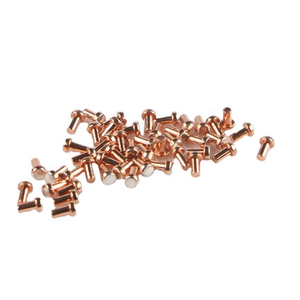 Muestra gratuita de remache de 2 mm - Product Image 1