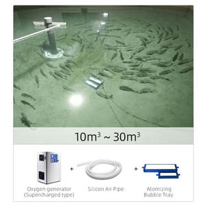 Qihangras Ras Aangepaste Grote Zuurstofgenerator 60l 0.2 Mpa Recirculerende Aquacultuur Zuurstofbeluchter Visteelt 220V - Product Image 6