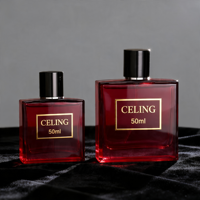 Flacon de parfum en verre transparent givré carré de luxe personnalisé avec couvercle magnétique 30ml 50ml 100ml avec boîte d'emballage