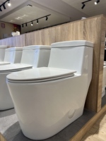 WC monobloc en céramique pour salle de bain, à chasse d'eau siphonique Tornado, conforme aux normes américaines, certifié CUPC et WaterSense
