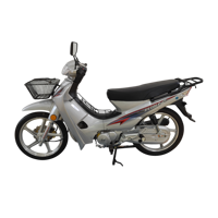 Moto à essence 110cc CJ-DYNASTY CJ-110-9A à refroidissement par air, boîte 4 vitesses, vitesse maximale 75 km/h, directement de l'usine, OEM fiable