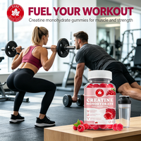 Gummies de créatine monohydrate à absorption élevée, saveur framboise, 60 unités, pour la force et l'endurance musculaire, marque privée OEM, personnalisables