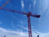 Grue à tour sans cabine 8T 55M pour la construction, avec moteur et boîte de vitesses, moment de charge élevé