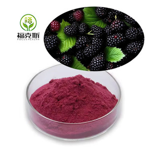 Cấp thực phẩm dâu tằm tự nhiên chiết xuất chất lượng cao hữu cơ 100% dâu tằm Bột nước ép trái cây - Product Image 3