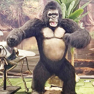 Vivid Animal Animatronic Live Animal Statue Tier <span class=keywords><strong>Gorilla</strong></span> in voller Größe zu verkaufen - Product Image 3