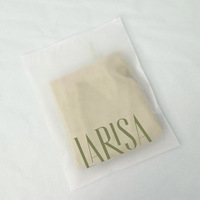 Pochette à fermeture éclair transparente givrée en PE, personnalisable avec logo, pour vêtements pour animaux de compagnie et ceintures, en matériaux recyclés – Meilleures ventes
