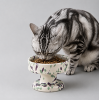 Bol pour chat en céramique nordique MoMo Paw Wholesale Dot, surélevé, protection du cou, antidérapant, lavable, bol pour nourriture et eau, bol de luxe pour animaux de compagnie