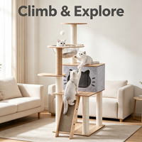 Arbre à chat en bois avec capsule spatiale transparente, maisonnette pour chat, poteaux à gratter en sisal et planche à gratter inclinée