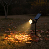 Iluminación Solar para Jardín, Luces Solares RGB para Exteriores, para Patio, Camino, Distribuidor de Marca Privada, Suministro al por Mayor