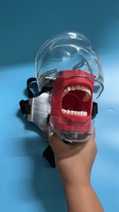 Maniquí de Cabeza con Dientes Realistas Profesionales, Componentes Metálicos de Acero Inoxidable para Prácticas de Blanqueamiento Dental - Product Image 5
