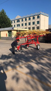 Râteau à doigts rotatif monté sur tracteur <span class=keywords><strong>Caddy</strong></span> 8 avec roue de ramassage <span class=keywords><strong>centrale</strong></span> pour <span class=keywords><strong>la</strong></span> collecte de foin et <span class=keywords><strong>la</strong></span> gestion des fourrages - Product Image 6