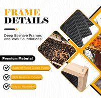 Lot de 10 cadres de ruche en bois massif noir de 9-1/8 pouces avec fondations en cire d'abeille 100 % naturelle pour ruches profondes